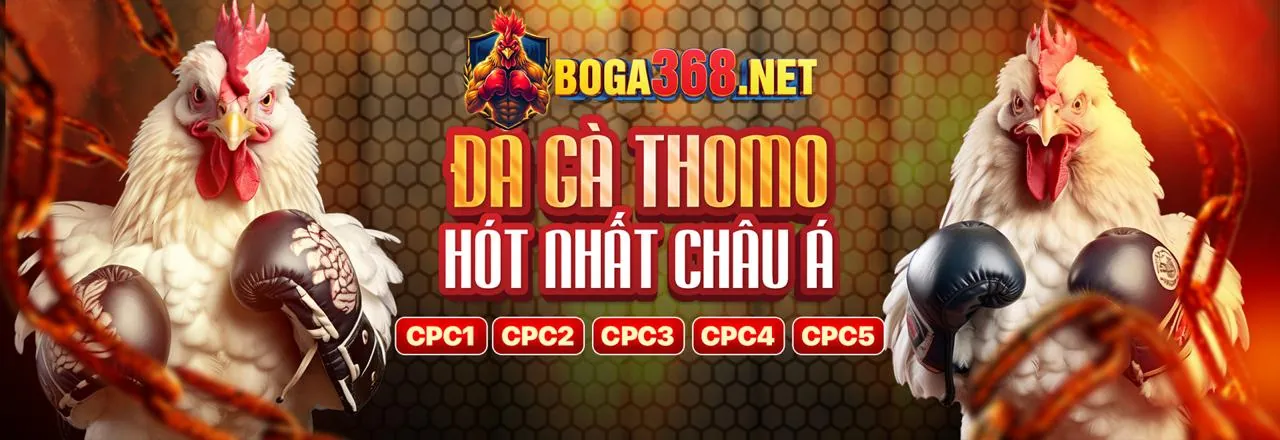 Đội ngũ hỗ trợ khách hàng chuyên nghiệp của us8