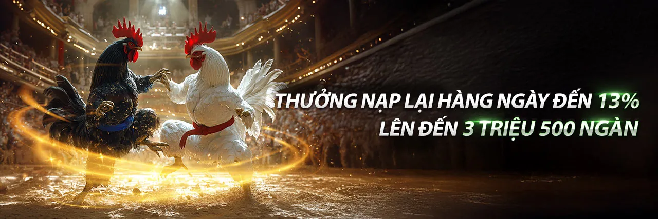 Đá Gà Trực Tuyến US8 Sân Chơi Đẳng Cấp